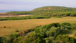 La costa di Tabarka
