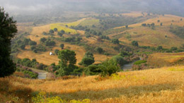 Nefza