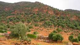 le pendici del Jebel Ichkeul